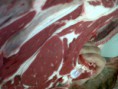 /album/mis-fotos/img00016-20110517-1242-jpg/